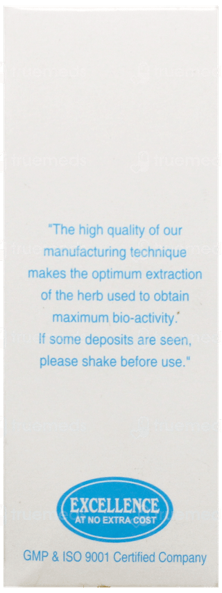 Sbl Ginkgo Biloba Q Mother Tincture 30Ml